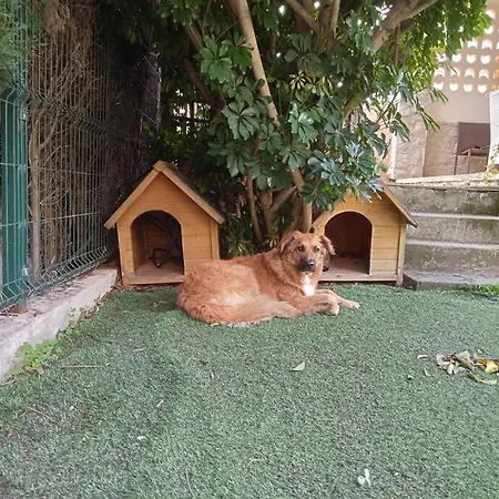 Holiday home Adosado Al Lado Del Torreon *